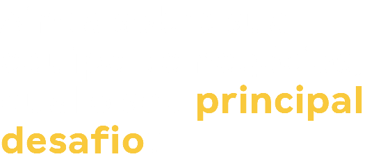 Ainda sobre sua equipe de negócios, qual o seu principal desafio?